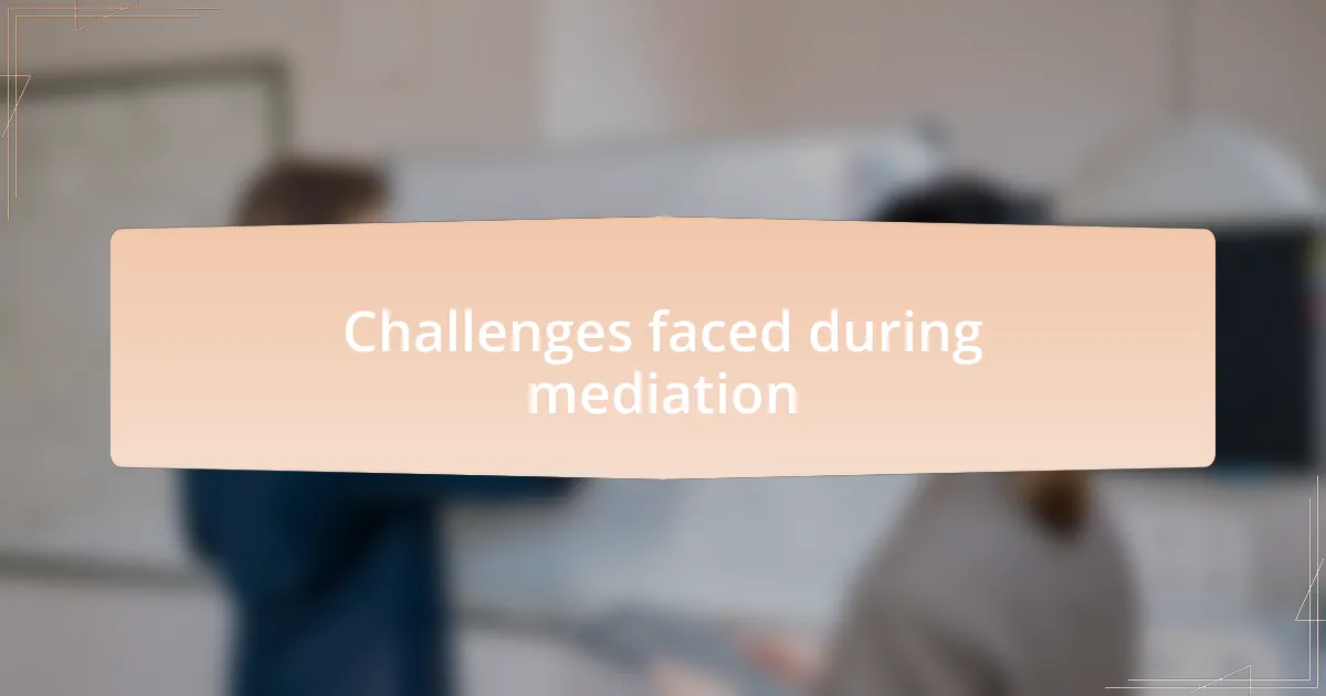 Challenges faced during mediation